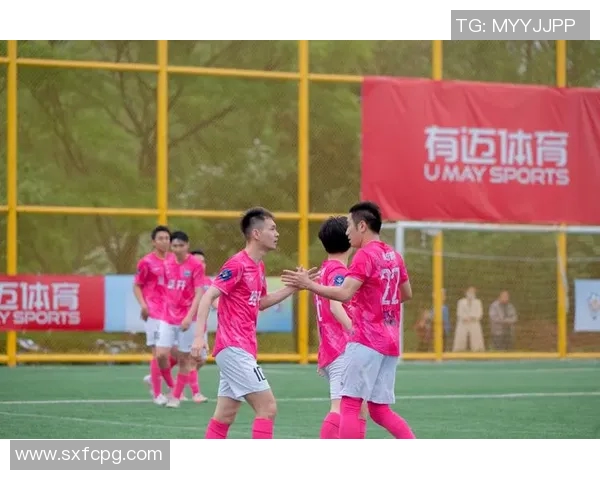 西杯赛事盛况回顾与未来展望：探讨其对足球文化的深远影响与发展潜力