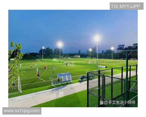 能否在家享受足球比赛直播的全新体验和便捷方式