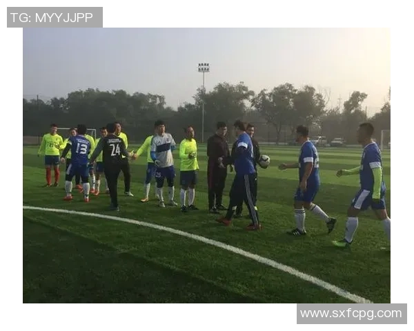 尼日利亚与南苏丹足球对决精彩纷呈谁能在这场较量中胜出