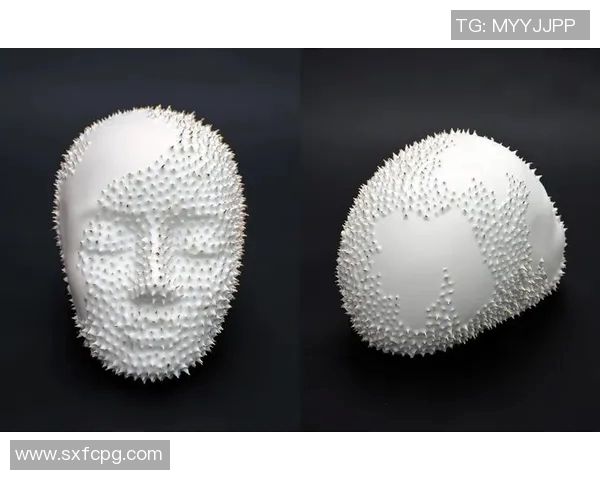 加莱诺的艺术世界探索与创作灵感的深度解析与分享