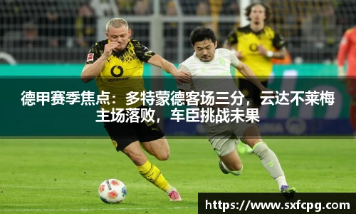 亚游国际app下载