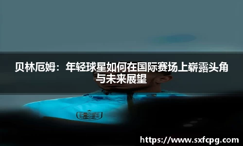 亚游国际手机最新版本